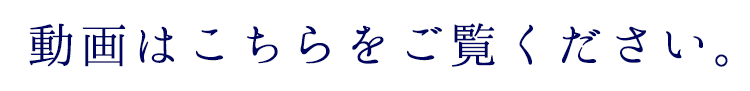 動画はこちらをご覧ください。