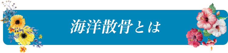 海洋散骨とは