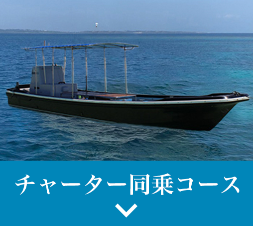 チャーター同乗コース
