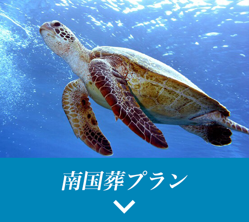南国葬プラン
