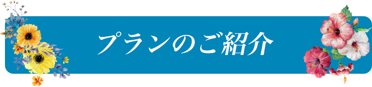 プランのご紹介
